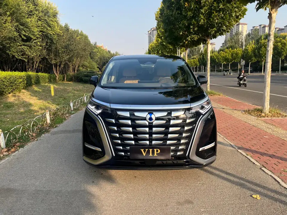 Denza D9 DM-i 970 AWD Flagship 2023