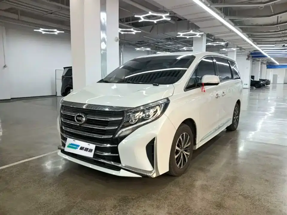 GAC Trumpchi M8 Leading Series 390T Luxury Edition 2024