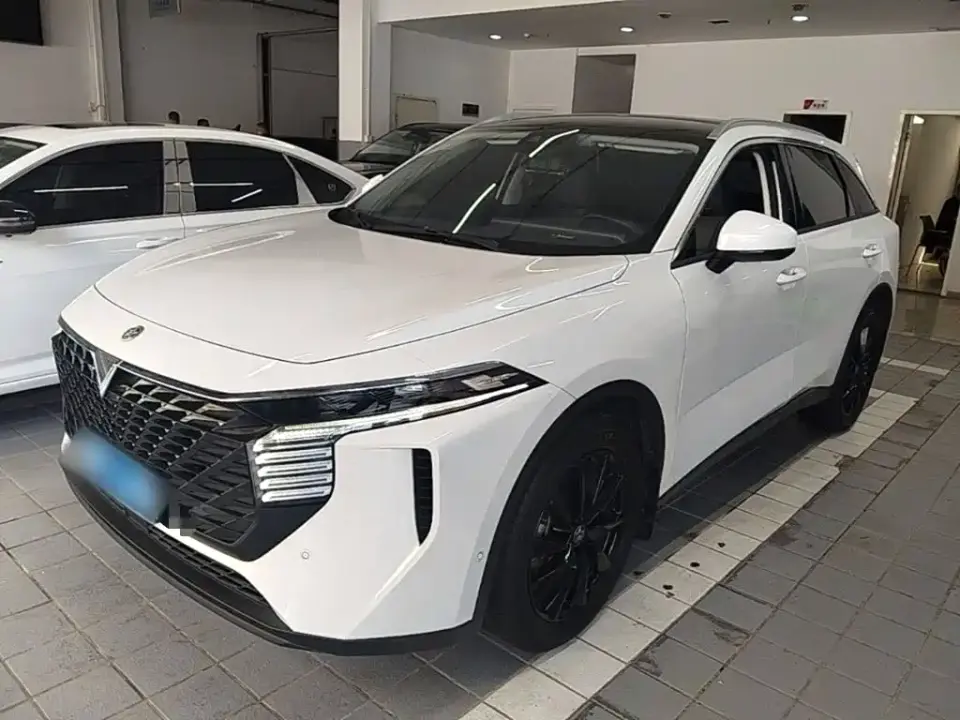 Venucia Big V 260T King Edition 2023