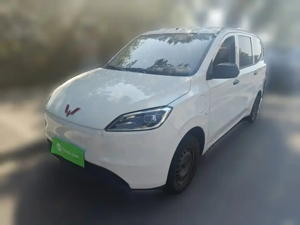 Wuling Motors Wuling Hongguang New Energy Model Pure Electric 300KM Utility Version 2025