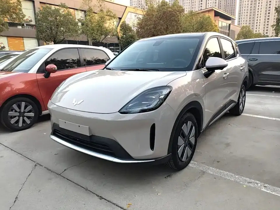 Wuling Motors Wuling Bingo S Model 325km Premium Edition 2025