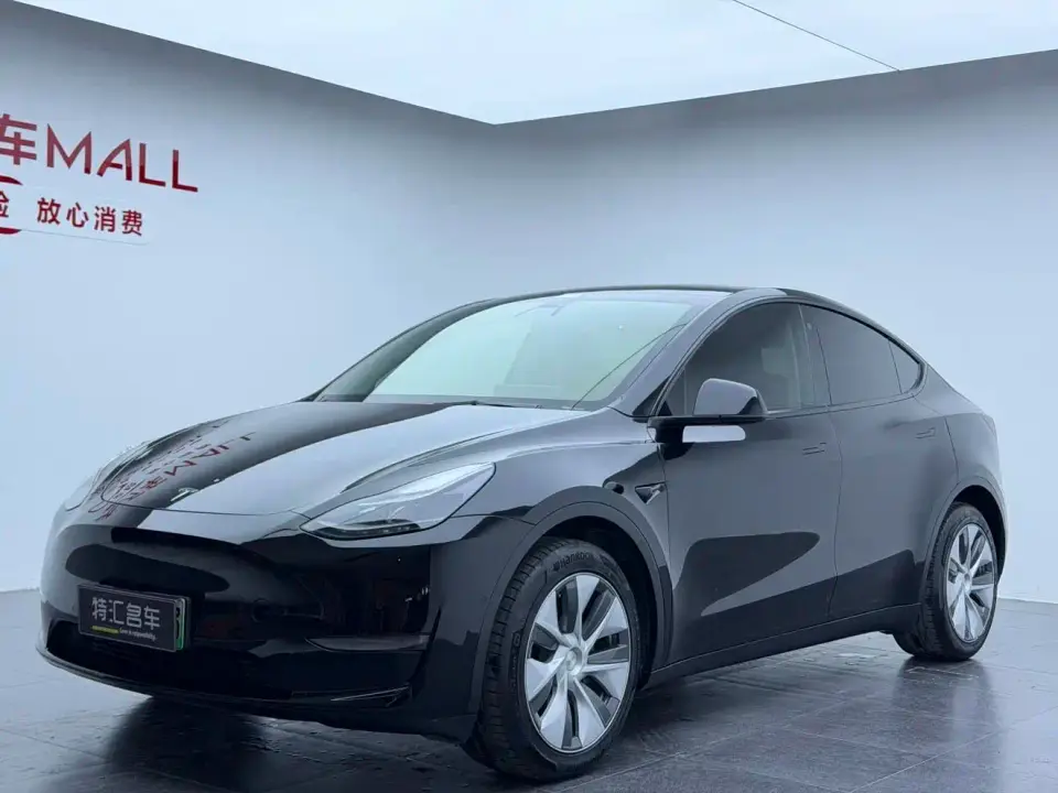 Tesla Model Y Long Range AWD 2022