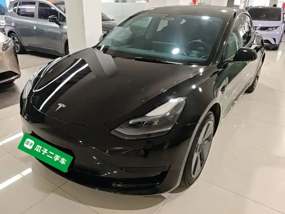 Tesla Model 3 Model Rear-Wheel Drive Version 2022