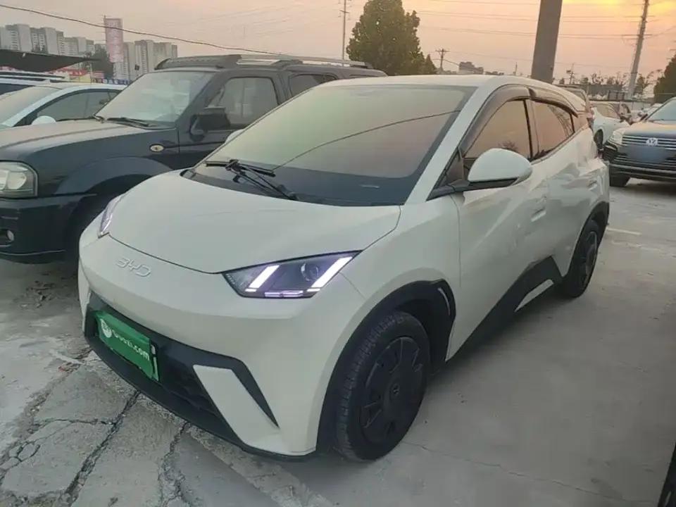 BYD Seagull 305km Vitality 2024