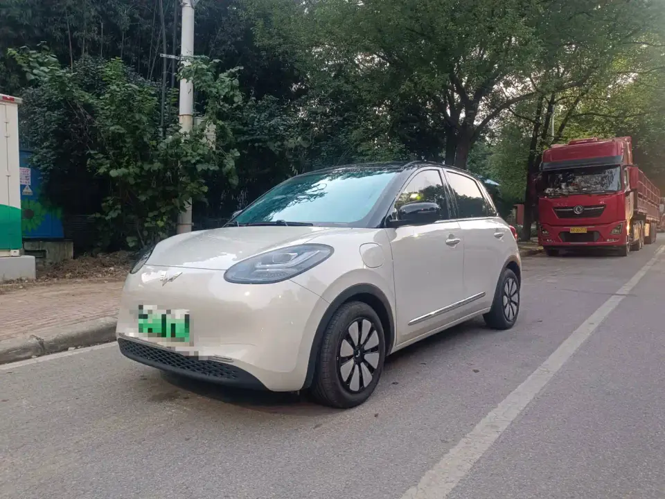 Wuling Motors Wuling Bingo Model 333km Smart Connect 2025