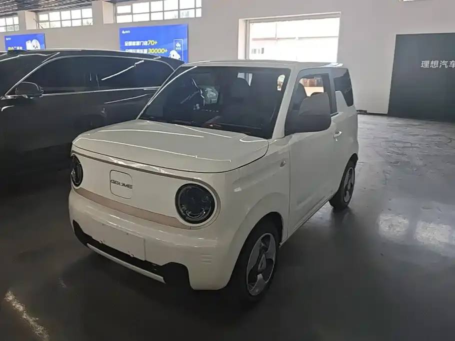 Geely Galaxy Panda Panda Mini 200km Lively Bear 2023