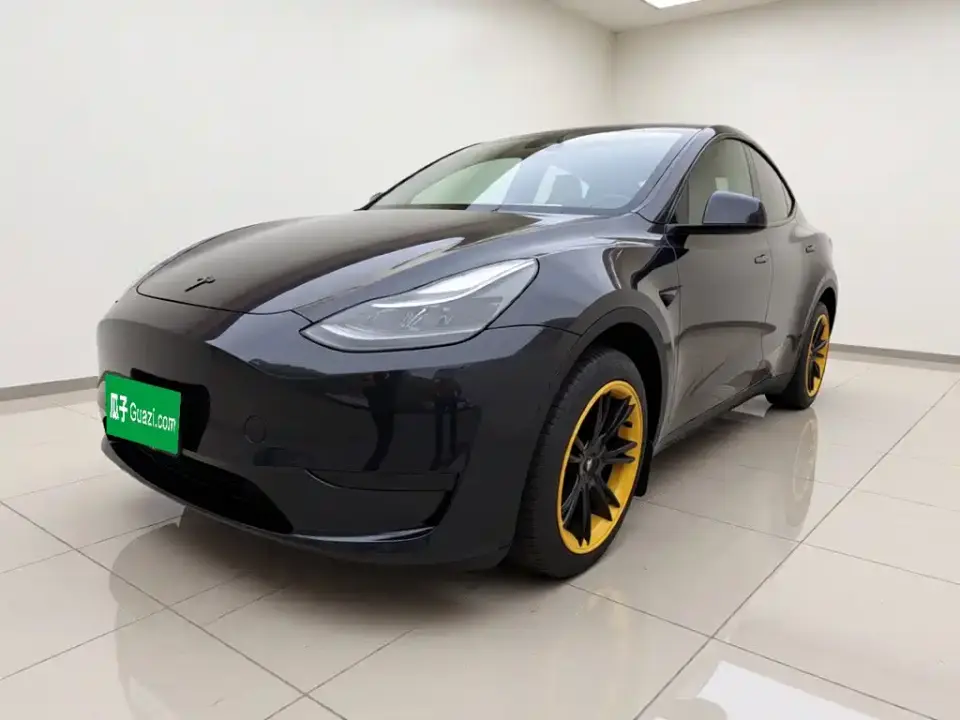 Tesla Model Y Rear-Wheel Drive Version 2024