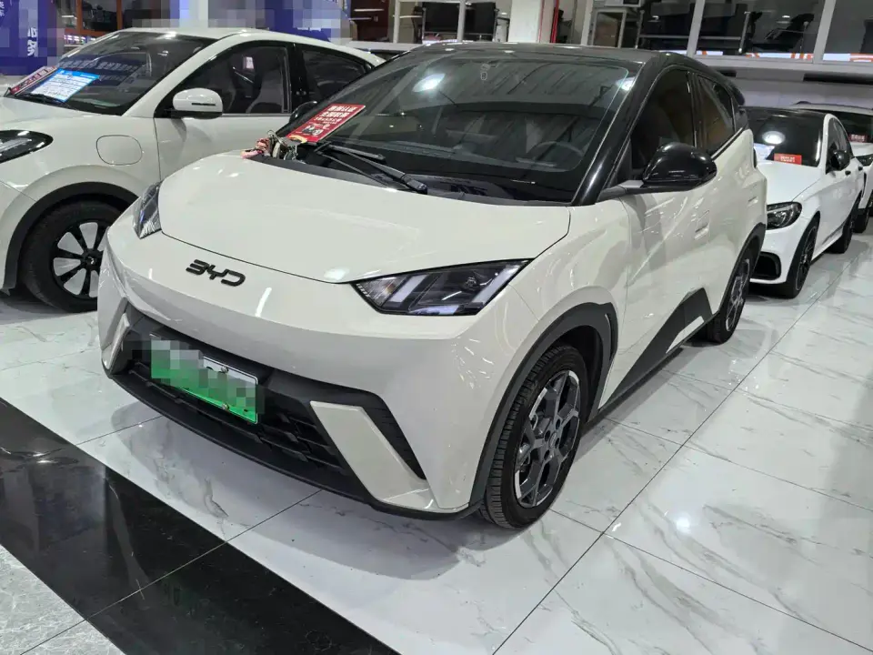 BYD Seagull 305km Freedom 2024