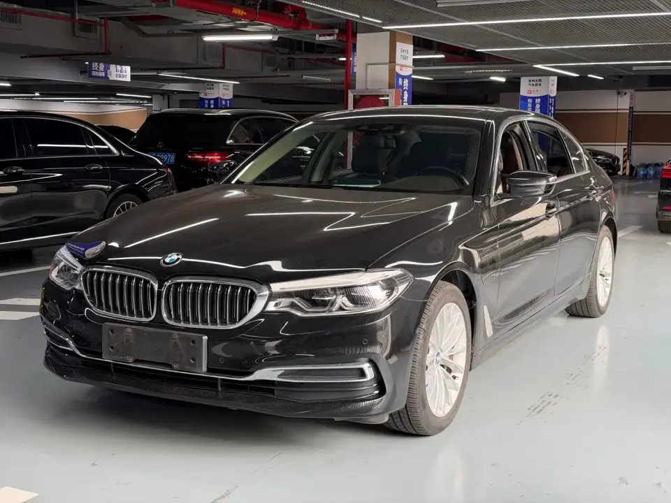 BMW 5 Series New Energy 530Le Luxury Package 2019