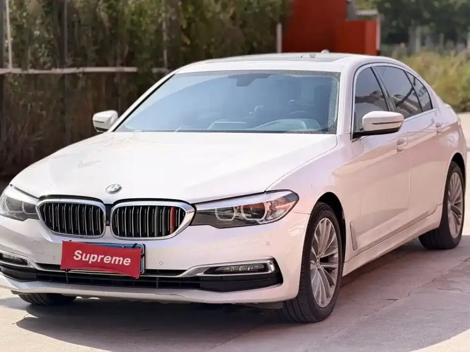 BMW 5 Series 525Li Luxury Package 2019