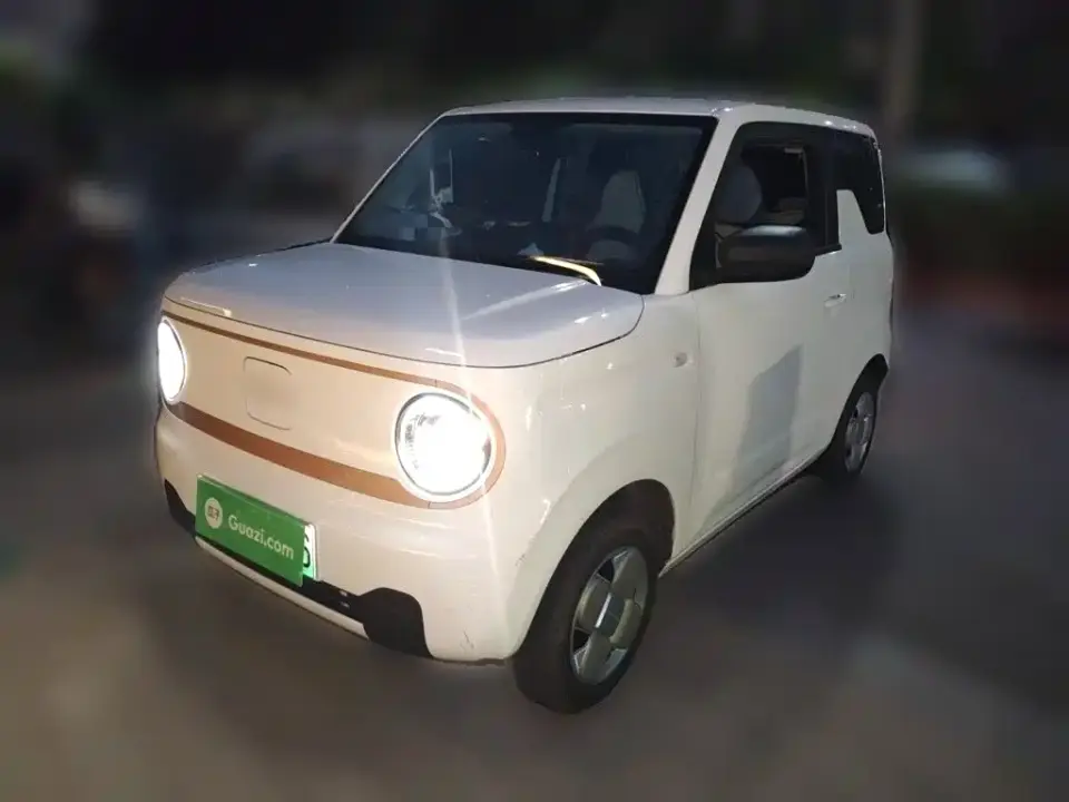 Geely Galaxy Panda Panda mini 200km Endurance Bear 2025