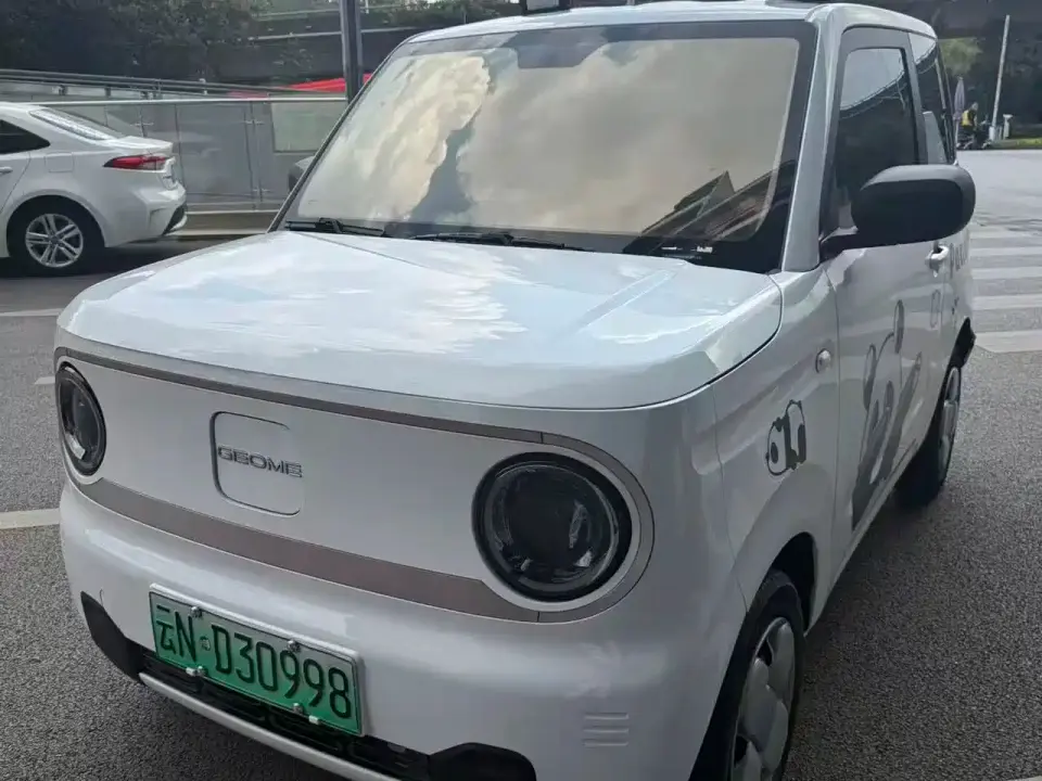 Geely Galaxy Panda Panda Mini 200km Endurance Bear 2023