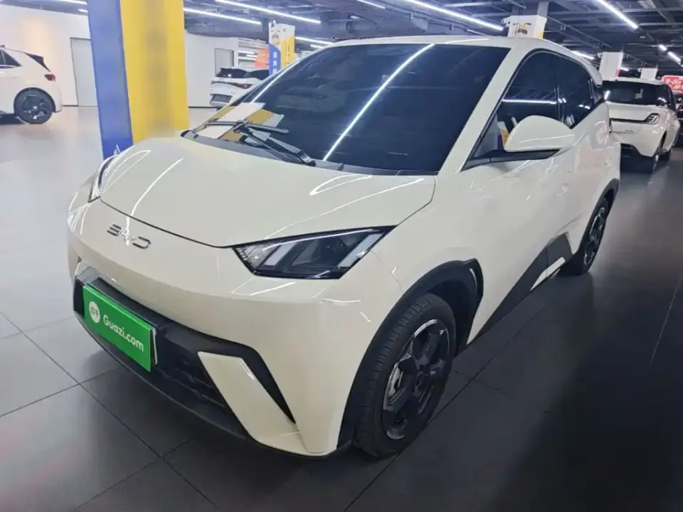 BYD Seagull Freedom Edition 2024