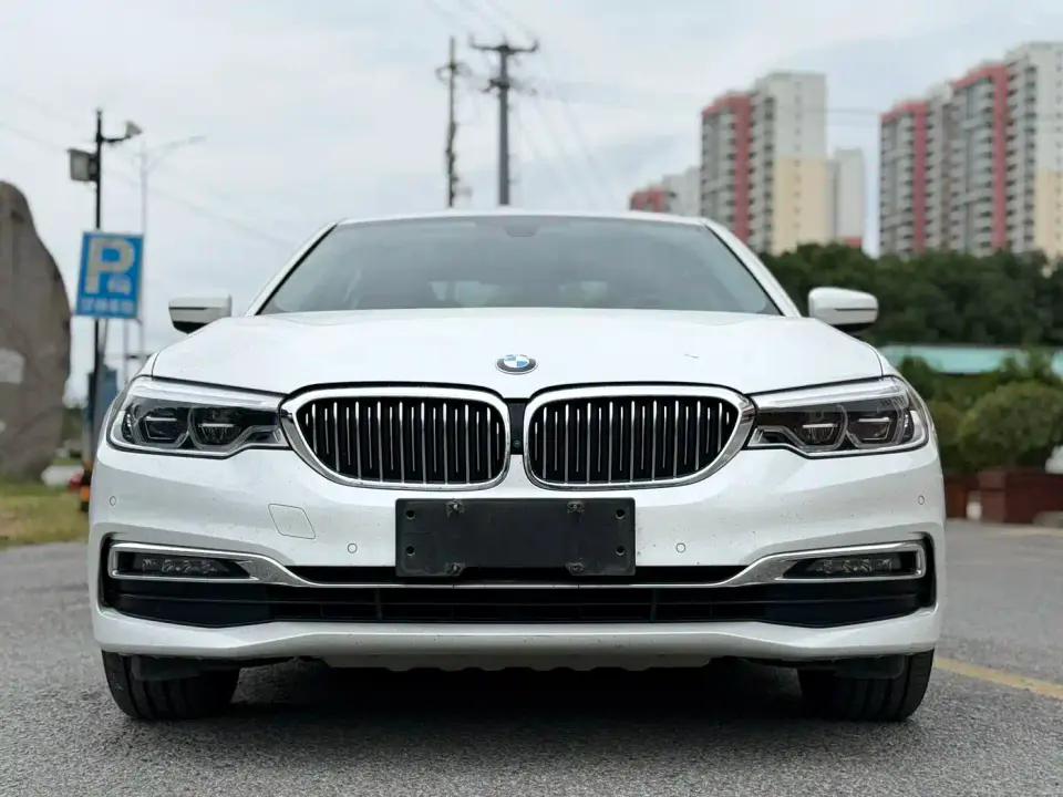 BMW 5 Series 530Li Premium Luxury Package 2019