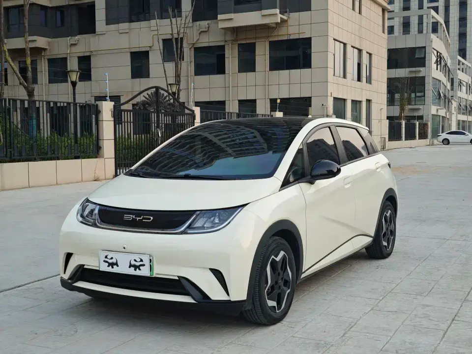 BYD Dolphin Model 405km Fashion Edition 2022