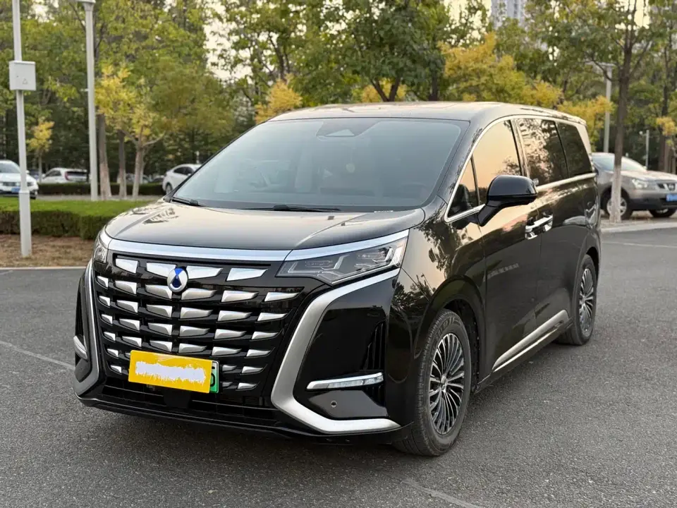 Denza D9 DM-i 1050 Premium 2025