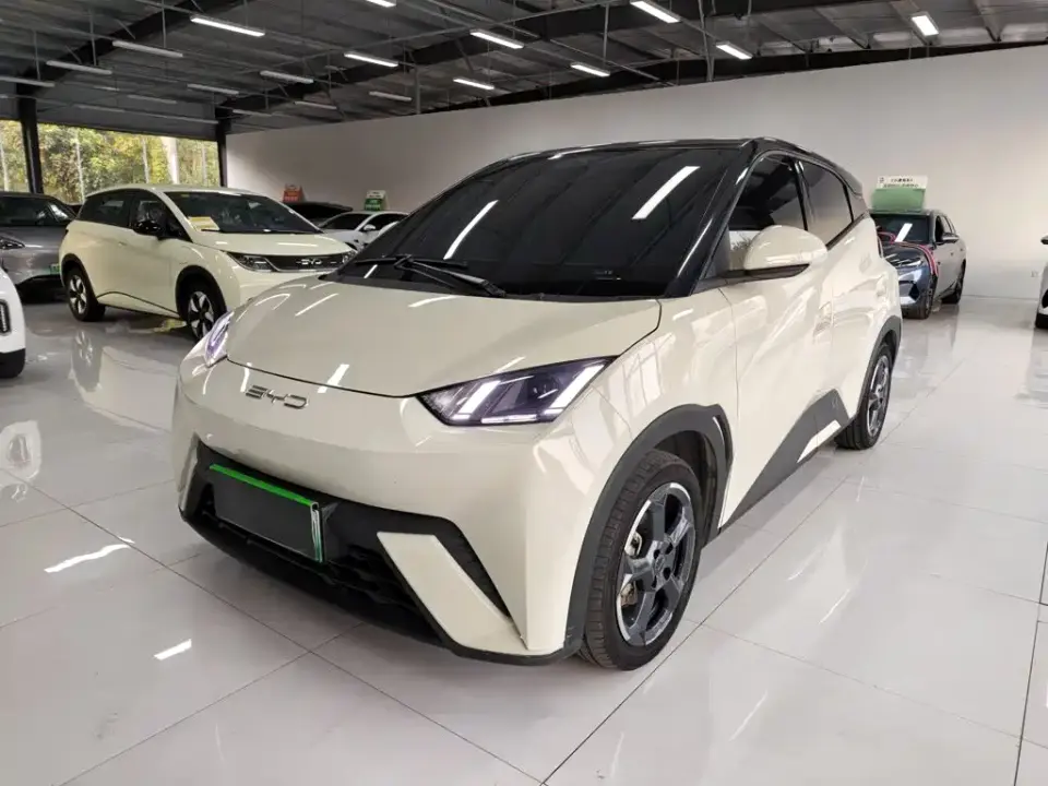 BYD Seagull Freedom Edition 2024