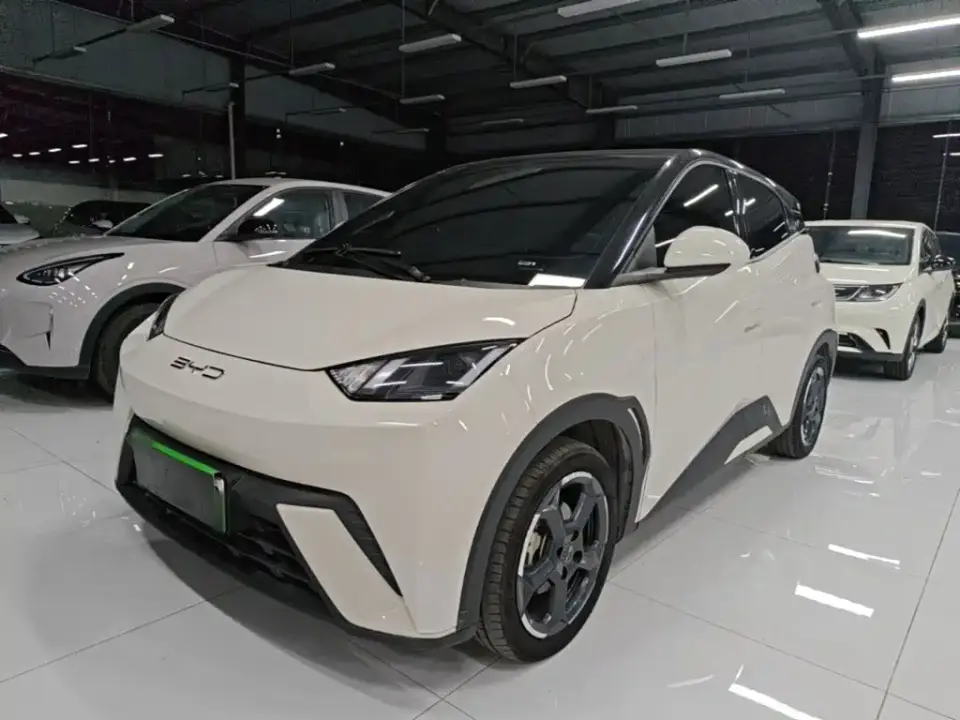 BYD Seagull Freedom Edition 2024