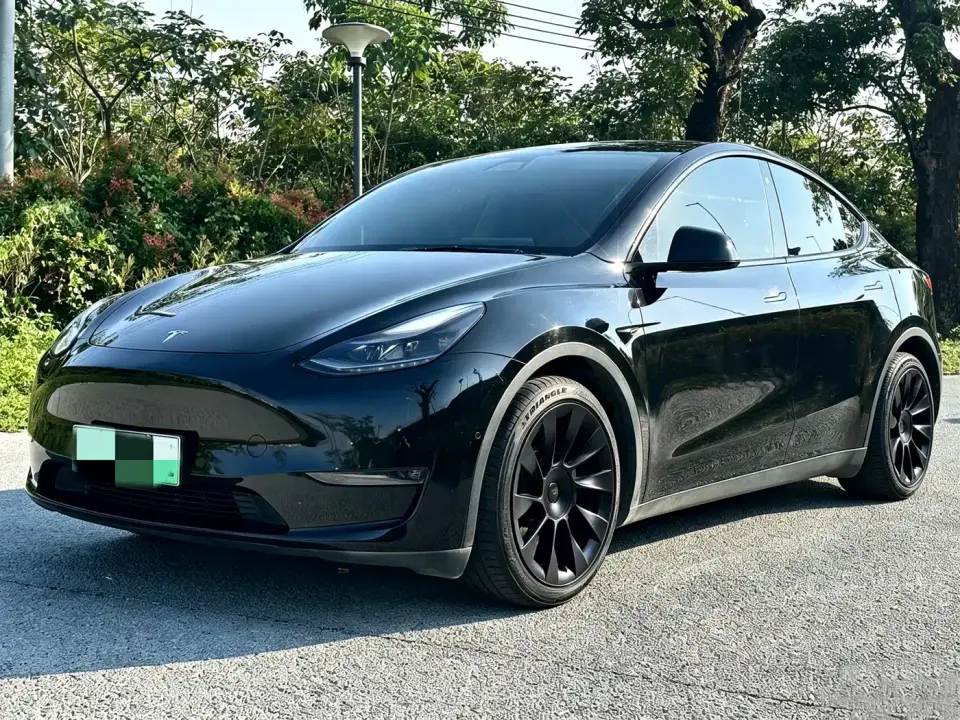 Tesla Model Y Standard Range Rear-Wheel Drive 2021