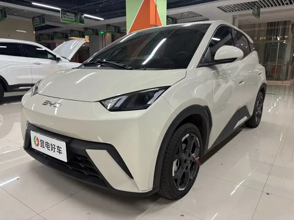 BYD Seagull 305km Freedom 2025