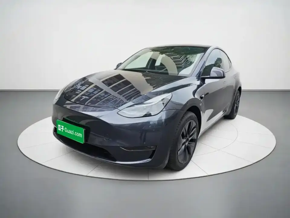 Tesla Model Y Long Range AWD 2024