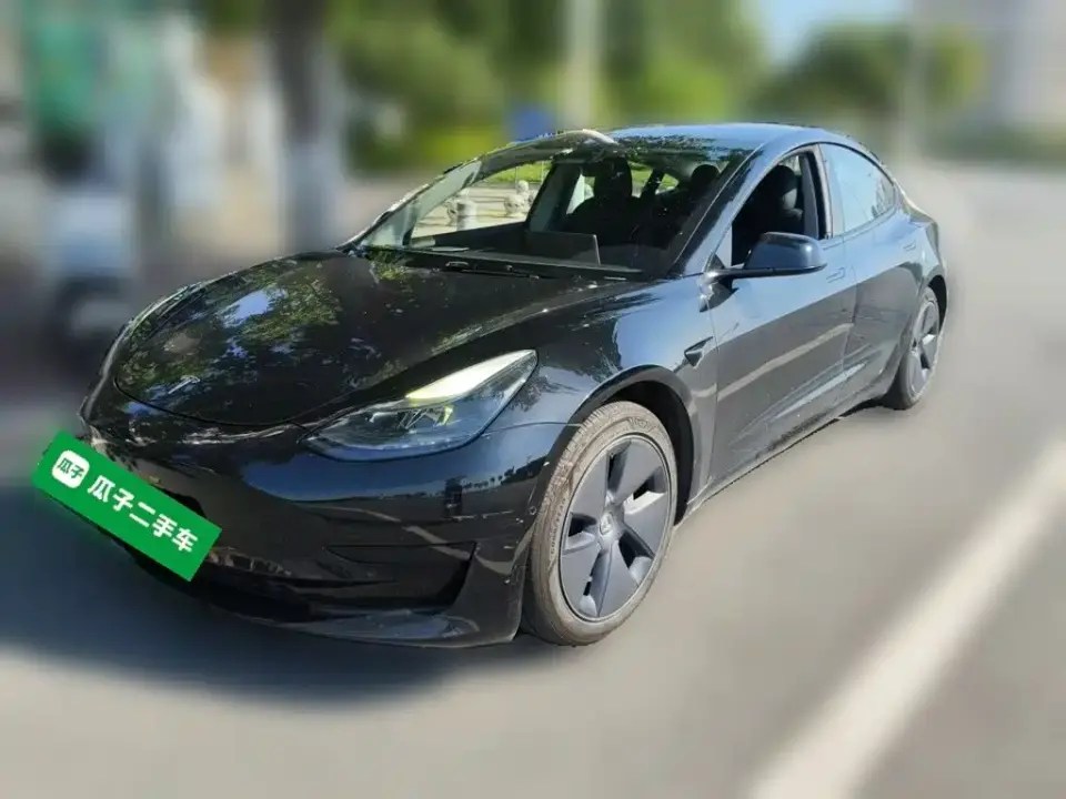 Tesla Model 3 Standard Range Rear-Wheel Drive Upgrade 3D6 2021