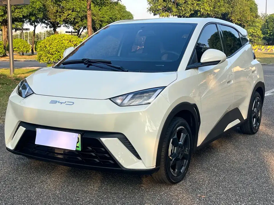 BYD Seagull Flying Edition 2023