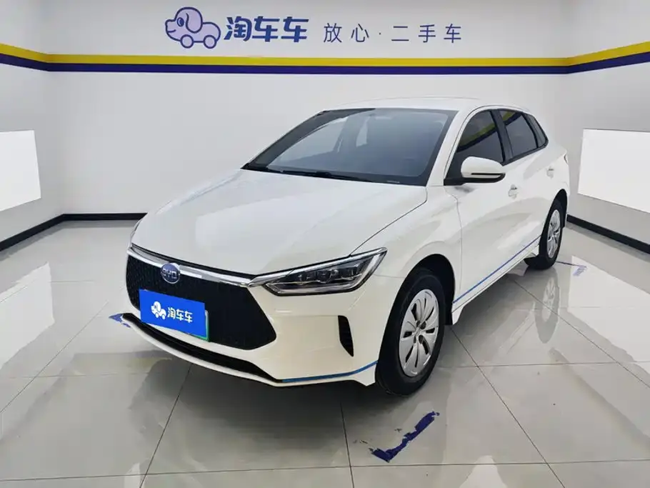 BYD e2 Upgrade Standard Range Standard Model 2020