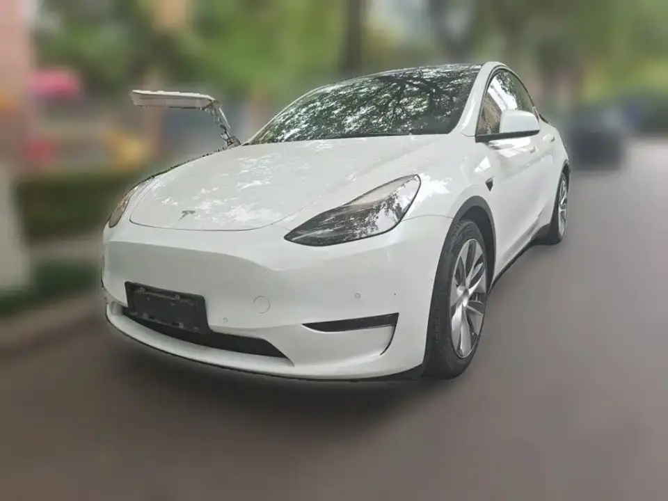 Tesla Model Y Standard Range Rear-Wheel Drive 2021