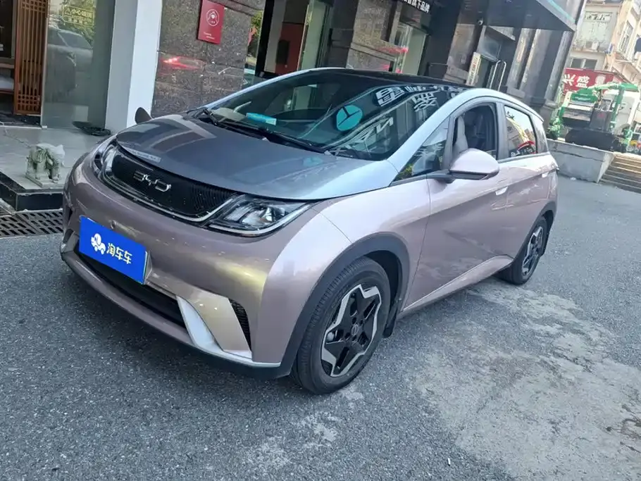 BYD Dolphin Model 405km Fashion Edition 2022