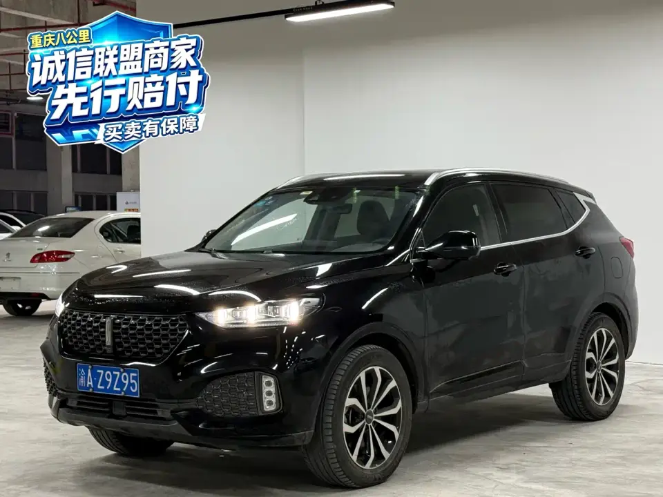 Wey VV6 2.0T 2WD Smart Protection+ 2019