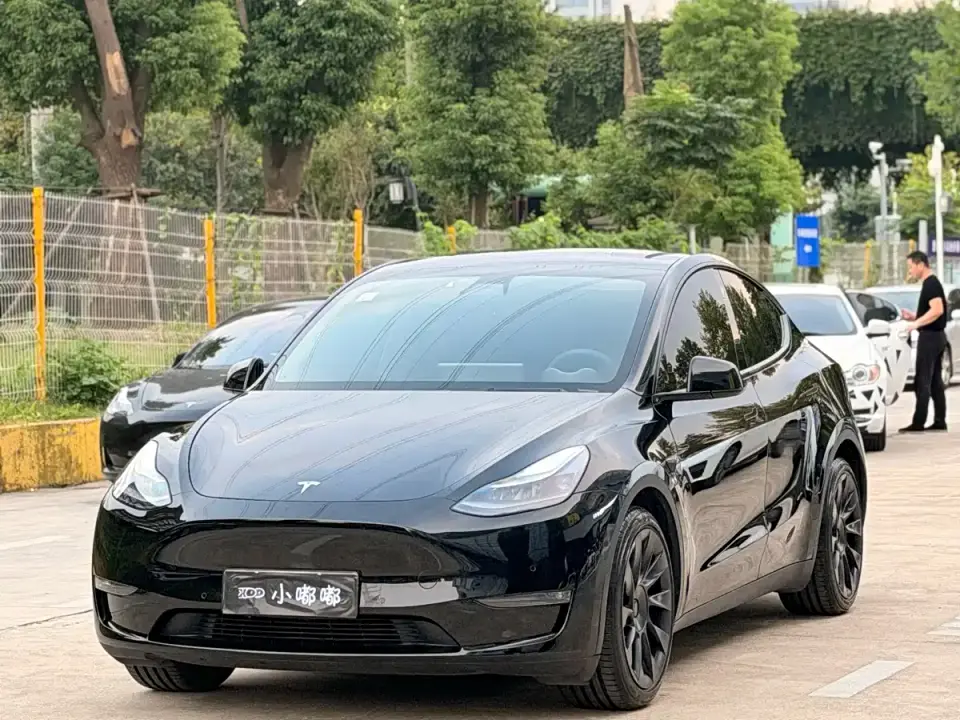 Tesla Model Y Standard Range Rear-Wheel Drive 2021