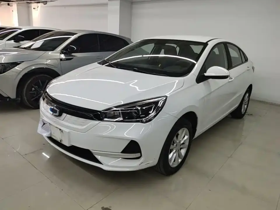 Guojin Auto Junxing Standard 2024