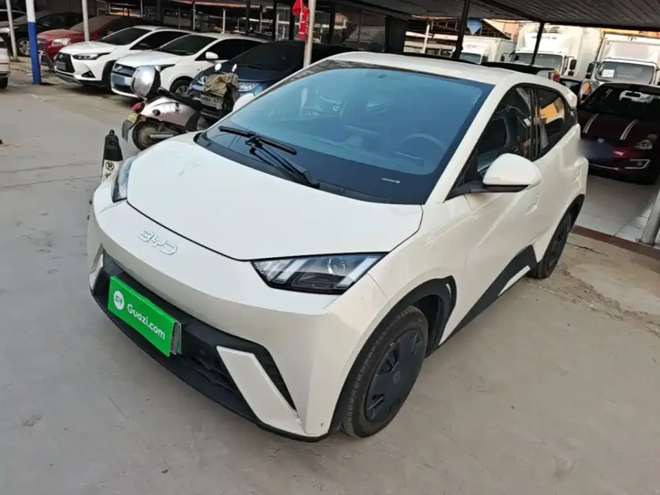 BYD Seagull 305km Vitality 2024