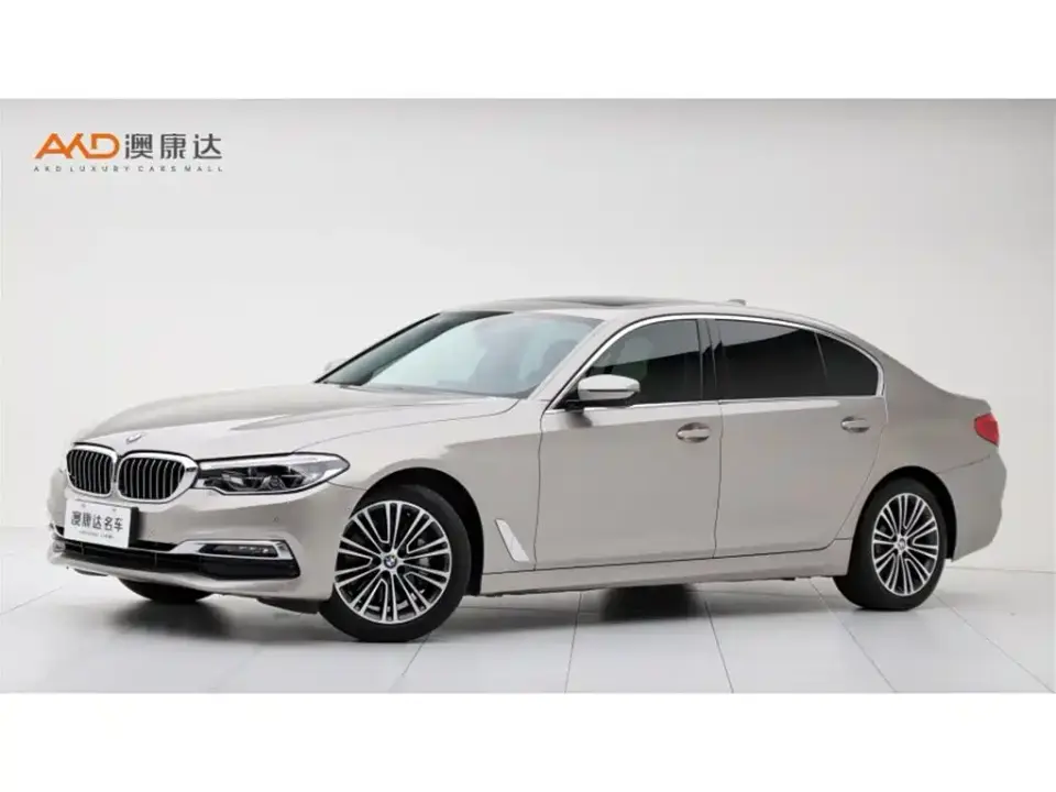BMW 5 Series 530Li Premium Luxury Package 2019