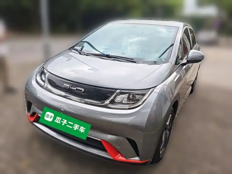 BYD Dolphin 405km Freedom Edition 2022