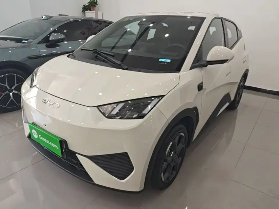 BYD Seagull Smart Drive Edition 305km Freedom Version 2025