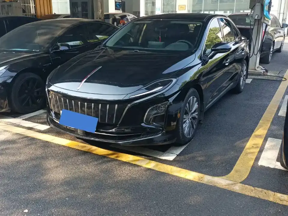 Hongqi E-QM5 Basic Travel Edition 2023