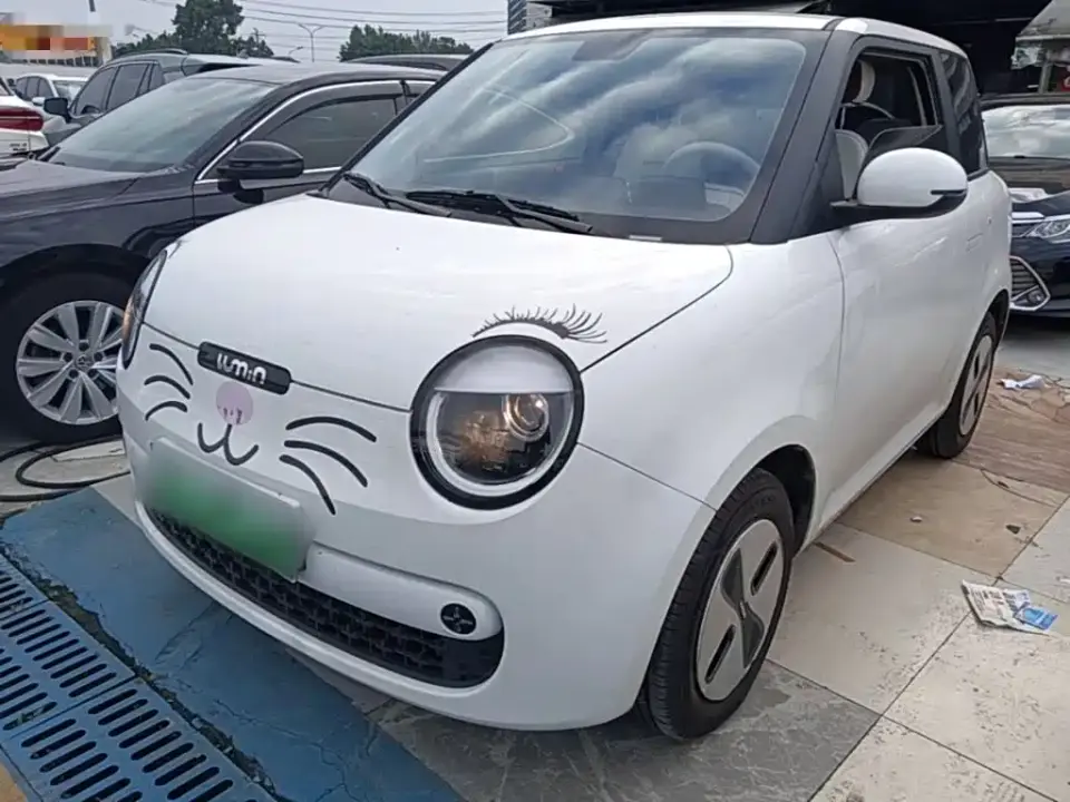 Changan Qiyuan Changan Lumin Model 205km Treasure Edition 2025