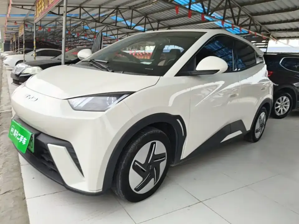 BYD Seagull Glory Edition 305km Vitality Edition 2024