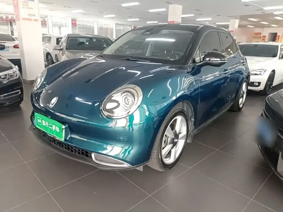 ORA Good Cat 400km Standard Range Venus Edition (LFP) 2021
