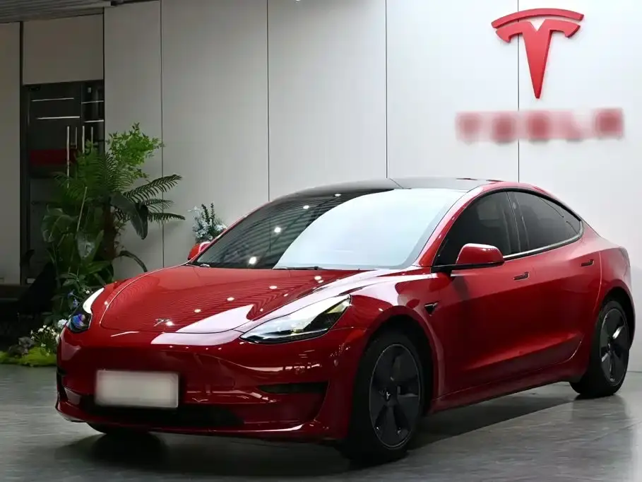 Tesla Model 3 Model Rear-Wheel Drive Version 2022