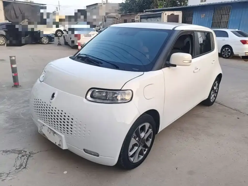 ORA White Cat 305km Luxury 2020