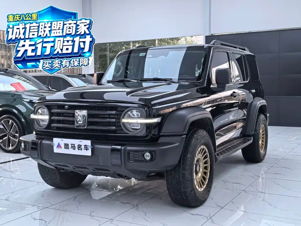 Tank 300 2.0T Conqueror 2024