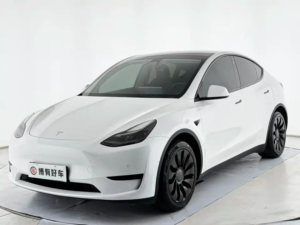 Tesla Model Y Rear-Wheel Drive Version 2022