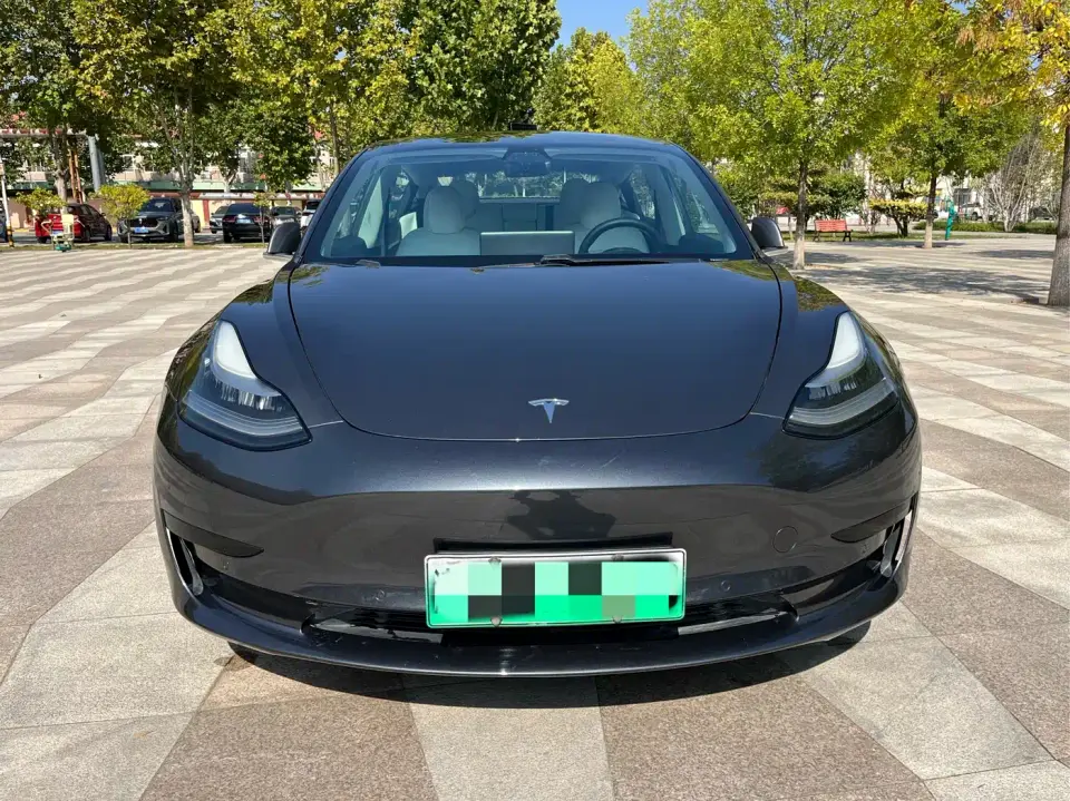 Tesla Model 3 Standard Range Rear-Wheel Drive Upgrade 2020