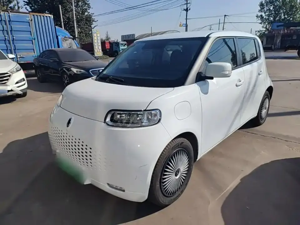 ORA White Cat 305km Luxury 2021
