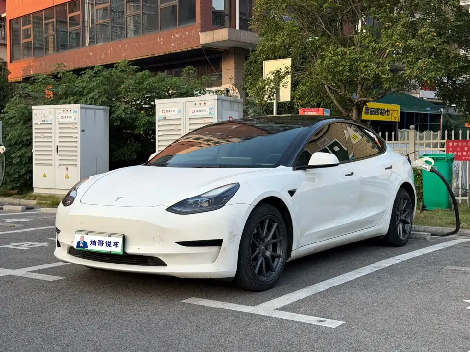 Tesla Model 3 Model Rear-Wheel Drive Version 2022