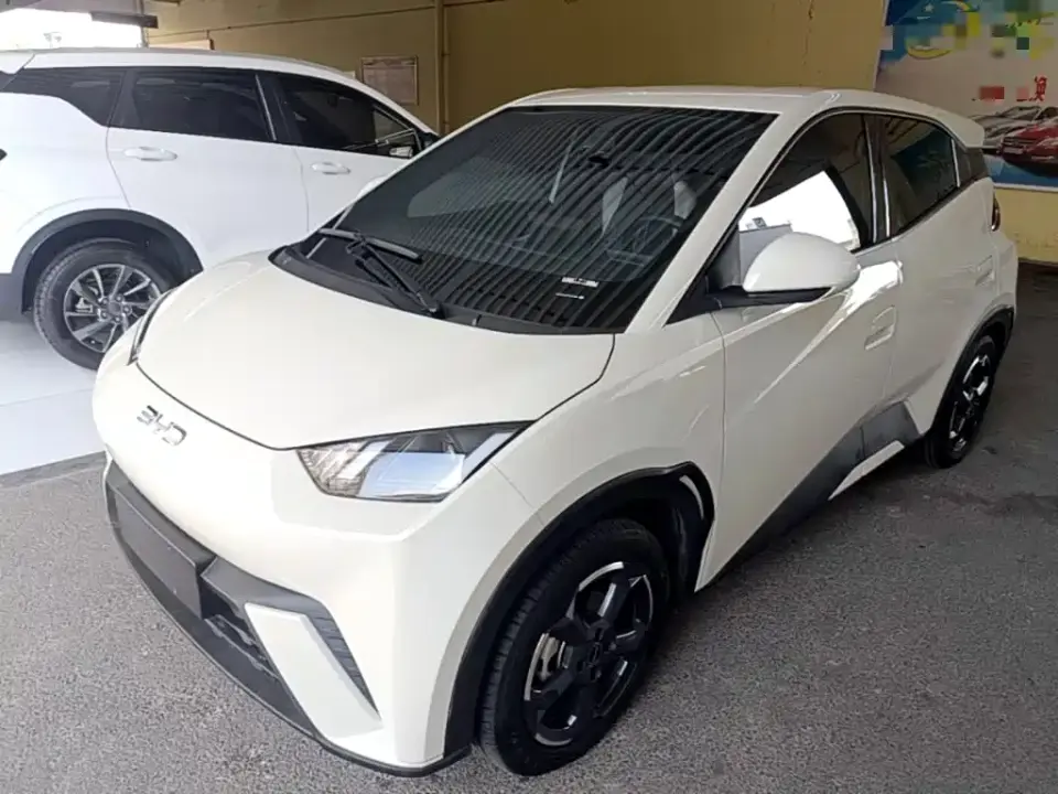 BYD Seagull Freedom Edition 2024