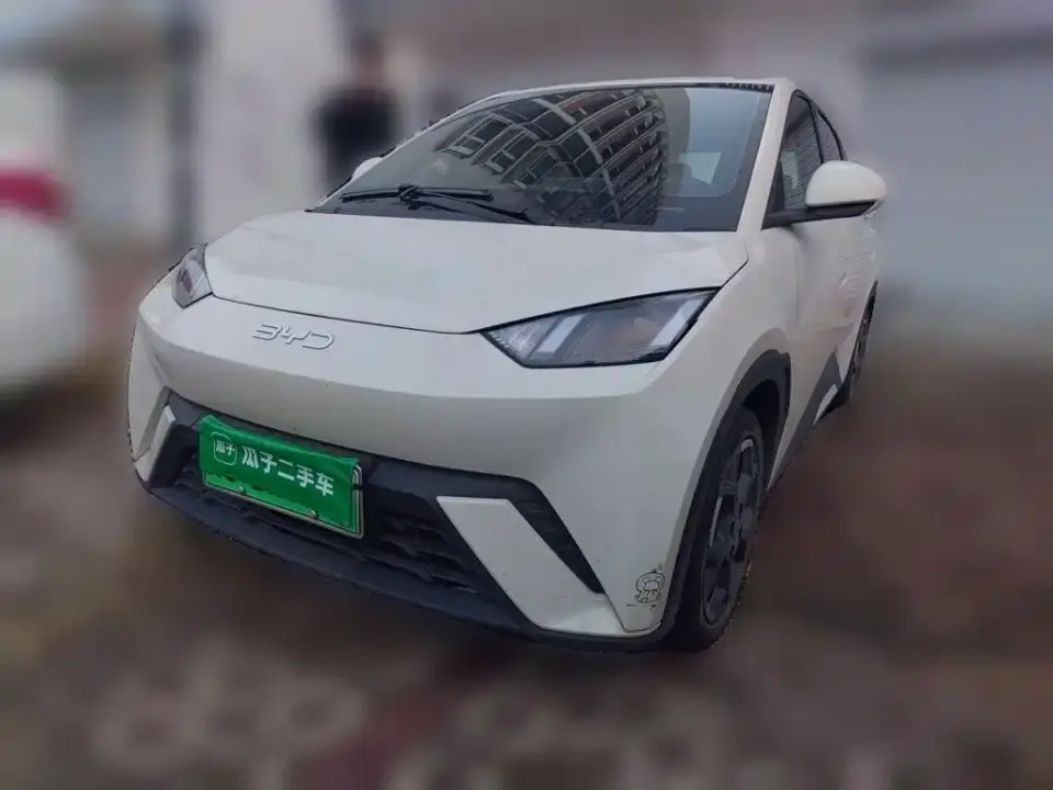 BYD Seagull Glory Edition 405km Soaring Edition 2024